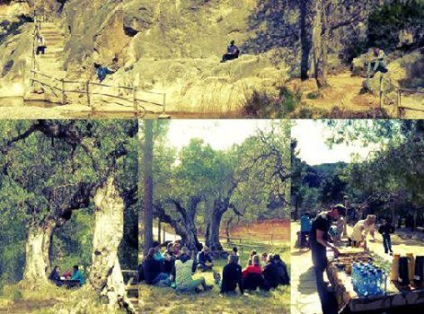 Outdoor conference group activity