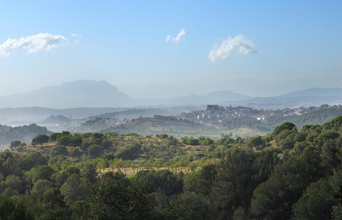 Collserola team building